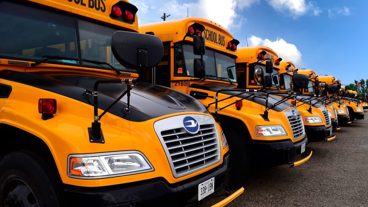 School buses parked in Guelph, Ontario